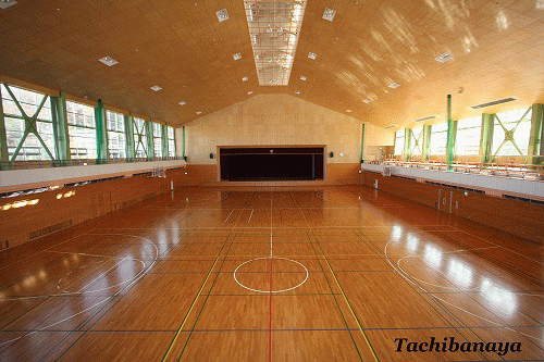 ������ ���炩�΁w�A���[�i�x�i