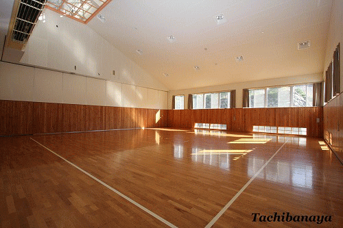 �����Ό�����