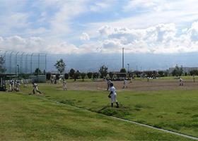 ���{���ړI�L��