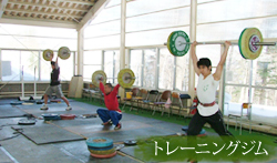 ���������i���{)�X�J�C�����h����݂�