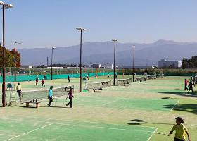 ���{�e�j�X�R�[�g