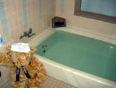 ���_�� �y���V�����e�B�[�^�C��