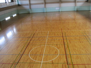 ����쑍���̈��