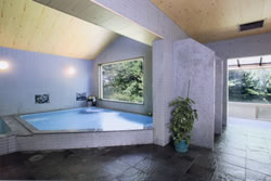 ���c ���|�̏h�@�V��̒��� ���C