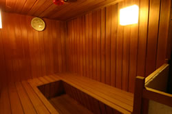 ���c ���|�̏h�@�V��̒��� �T�E�i