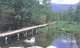 ��򐅎��R��