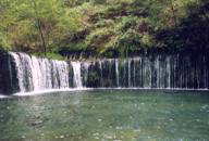 �����̑�