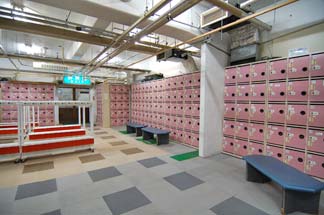 �u�ꍂ�� ��m���@�_�C�������h�u��