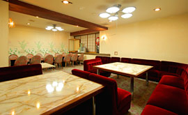 ���V�P���@�z�e���T�j�[�u��~�[�e�B���O���[��