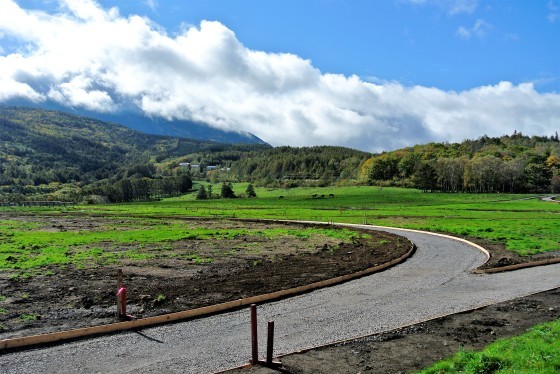 ���_�Η��㋣�Z��