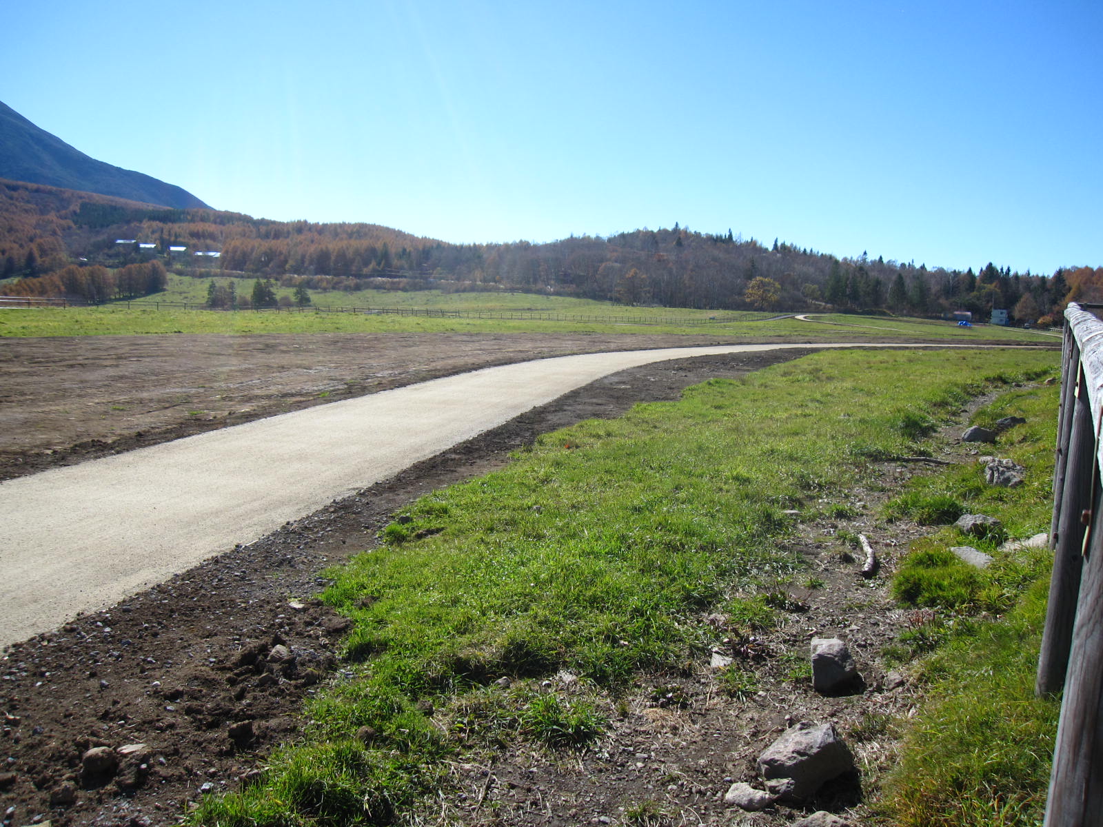 ���_�Η��㋣�Z