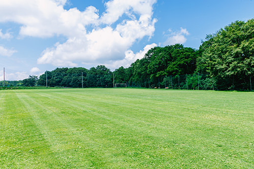 ���������@�X�|�[�c�n�C��������