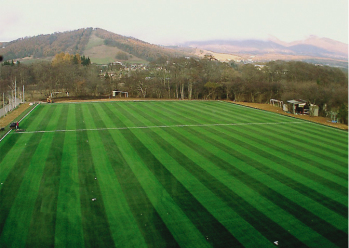 ���������@�����C�i���[���z�e��