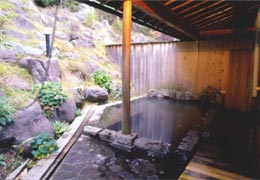 ������������z�e�� �I�V���C