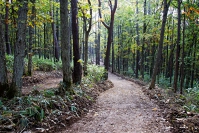 �������� �R���ف@�N���X�J���g���[�R�[�X