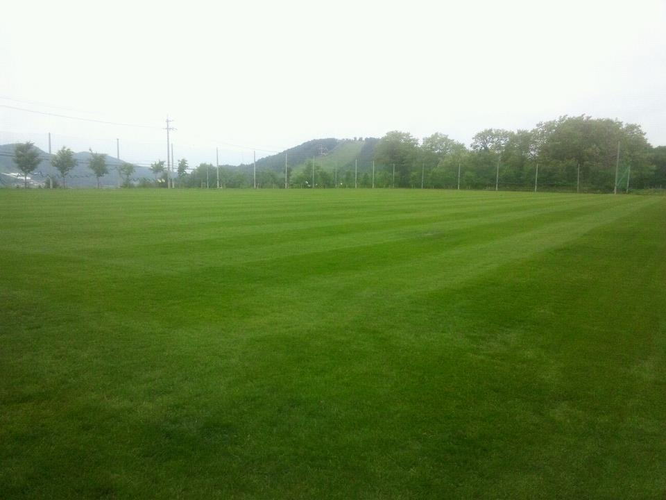 �z�e���X�^�[���]�[�g�����@�ŃO�����h