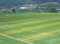 �������� ���]�[�g�C�������X�C�X�z�e��