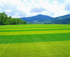 �������� ���]�[�g�C�������X�C�X�z�e��