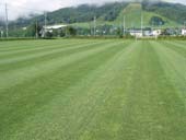 �������� �z�e���_�{�X�^�J�V�}��