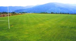 �������� ���Y��