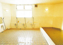 ���������@�V�烍�b�W�@