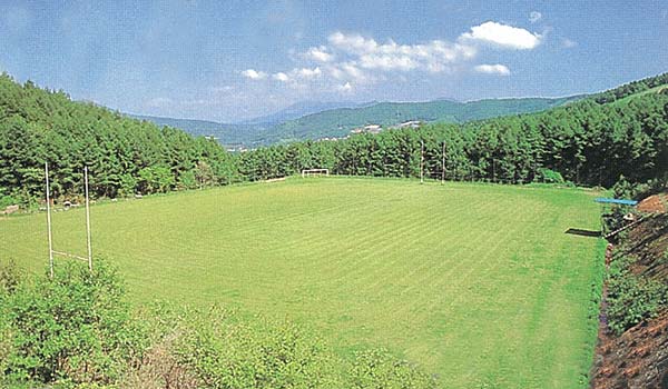 �������� �΂����