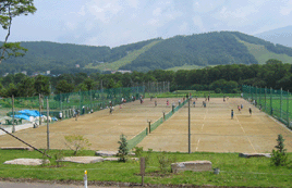 ���������@�u�`�m�X�N�G�A�K�[�f��