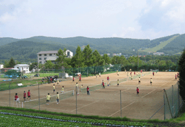 ���������@�u�`�m�X�N�G�A�K�[�f��