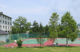 ���������@�u�`�m�X�N�G�A�K�[�f��