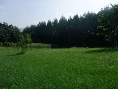 ���������@���b�a���B�X�^�@