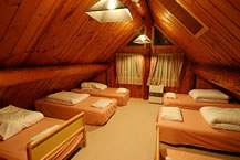 �v�`�z�e���]���^�b�N�q��