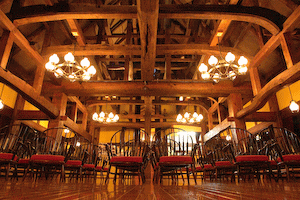 �v�`�z�e���]���^�b�N������