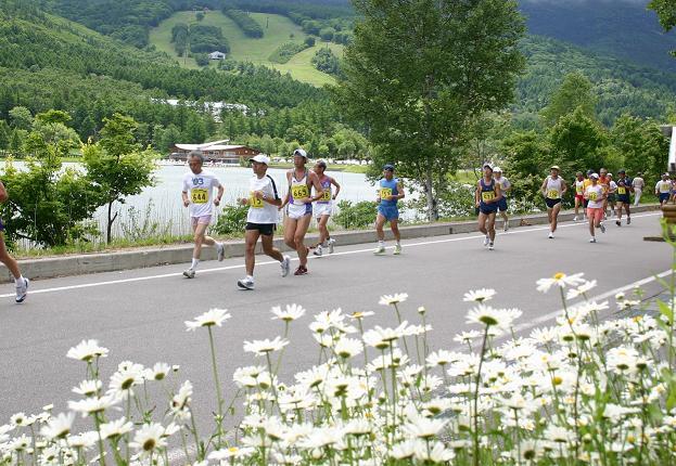 ���_�Η��㋣�Z