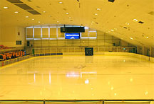 ��ӎR�����@��Y���b�a�A�C�X�X�P�[�g��