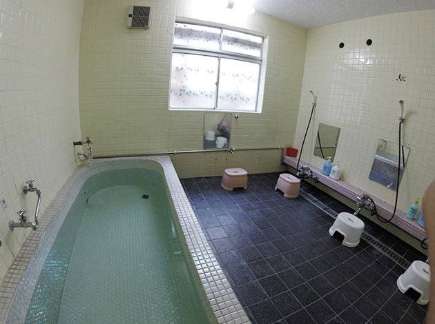 �ˎ뉷��@�O���[�����C�t���{