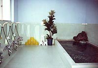 �ˎ뉷��@���t���E�C������ ����