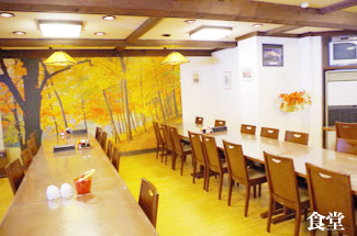 �ˎ뉷��@���C�v���n�C�� �H��