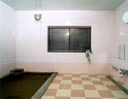 �ˎ뉷�� �O���[�����C�N��� ���C