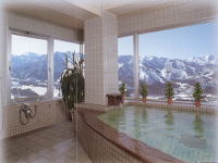 �⌴�����@�z�e���A���p�C��