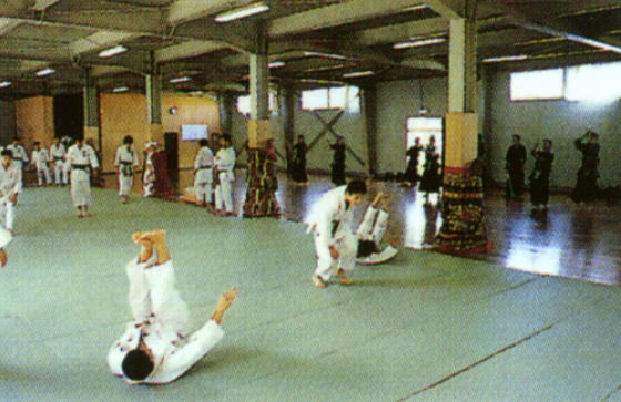 �⌴�����@�ԗ�