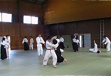 ���򒆗��X�L�[��@�Ȃ����ݗ���