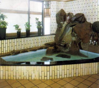 ���������@�n�C�����h���b�W�^�P�Q���@���C