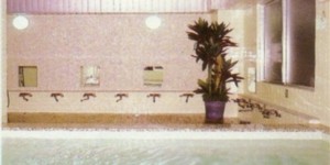 �c��@�z�e���ӂ���