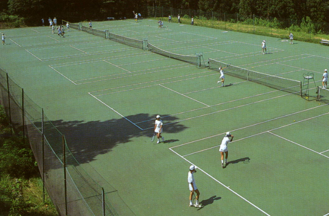 �c��A�l�b�N�X�������