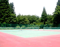 ���򒆗��X�L�[��@����������