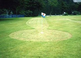 ���򒆉������O�����h�S���t�R�[�X