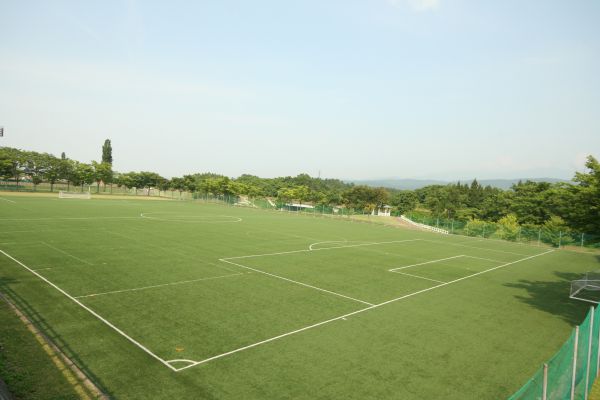 �V�䑍������