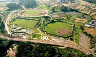 �V�䑍������