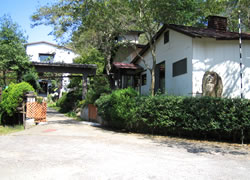 ��ʌ� ���� ���Í���