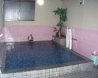 �x�m�{�@���h���� ���̉�